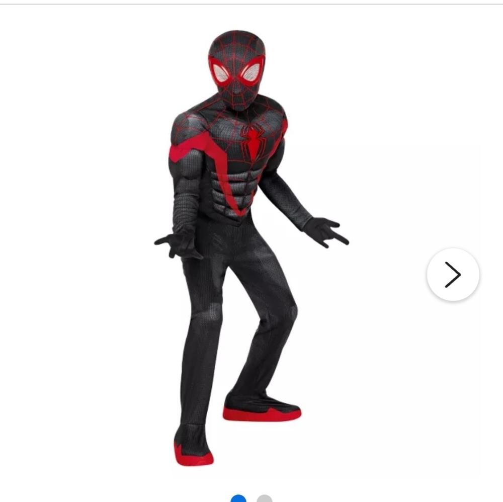 Spiderman Costume